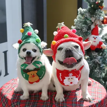 Cute christmas sale dog outfits