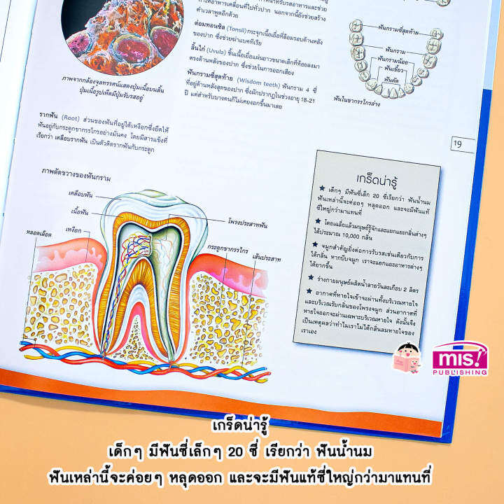 หนังสือ-สารานุกรมประกอบภาพ-ร่างกายมนุษย์-สามารถใช้กับ-talking-pen-ได้