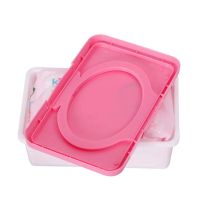 2023 New Baby Wipe Warmer Heater Wet Towel Dispenser Napkin Heating Box Home Car Use Mini Wipe Warmer Case Disinfecting Wipes Tissue Holders