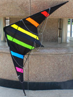 Outdoor Fun Sports NEW 4864 Inches Dual Line Stunt Kites Aurora Kite With Handle And Line Good Flying