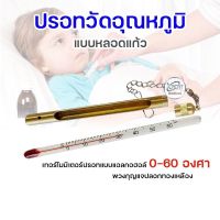 เทอร์โมมิเตอร์ เทอร์โมมิเตอร์ปรอทแบบแอลกอฮอล์ 0-60 องศา พวงกุญแจปลอกทองเหลือง