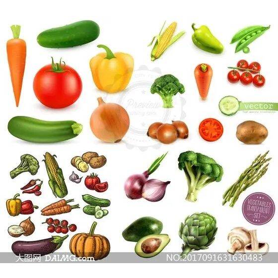 Vegetable Seeds Collection C Bitter Gourd Cucumber Radish Black Corn