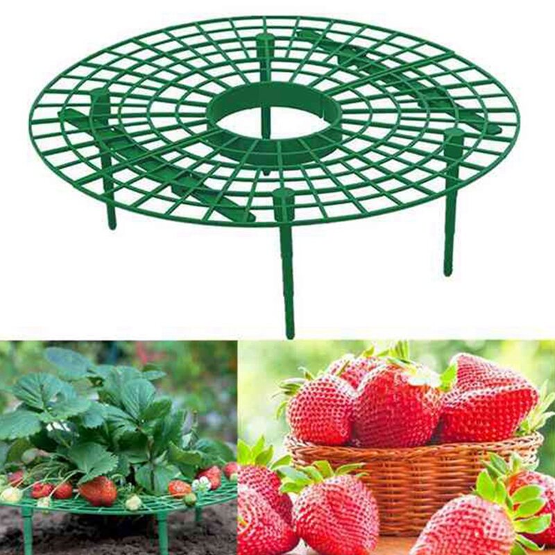 Fxhan 5Pcs Strawberry Supports Fruit Plant Growing Round Rack Far from Soil 