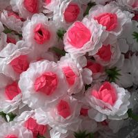 ดอกมะลิวันแม่ (ดอกมะลิวันแม่ หัวดอกมะลิบานวันแม่ สีทูโทน สีขาวกลางชมพู 1ถุง50ดอก) ดอกมะลิสีขาวกลางชมพู ดอกมะลิบาน พร้อมส่ง