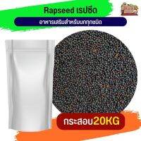 เรปซีด (Rapeseed) 20KG.