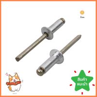 ตะปูยิงรีเวท DEXZON 6-5 100 ตัวBLIND RIVETS DEXZON 6-5 100PCS **ราคาดีที่สุด**