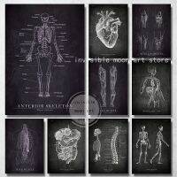 Human Anatomy Anterior กล้ามเนื้อ,หัวใจ,กะโหลกศีรษะ,ขา,มือโครงกระดูกออร์แกนโปสเตอร์,ภาพวาดผ้าใบผนังพิมพ์รูปภาพ,เหมาะสำหรับ Clinic Home Decor