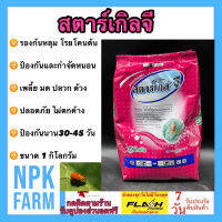 สตาร์เกิลจี 1 กิโลกรัม สตาเกิลจี รองก้นหลุม โรยรอบโคนต้น ป้องกันและกำจัด หนอน เพลี้ย มด ปลวก ด้วง ป้องกันนาน 30-45 วัน ปลอดภัย ไม่ตกค้าง