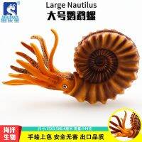 Solid simulation model of ancient animals toys Cambrian large nautilus ammonite snake stone invertebrates