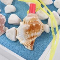 Crafts Decoration Birthday Pendant Shell Creative Shipping Children Natural Gift Toys Conch  Whistle Survival Tool Survival kits