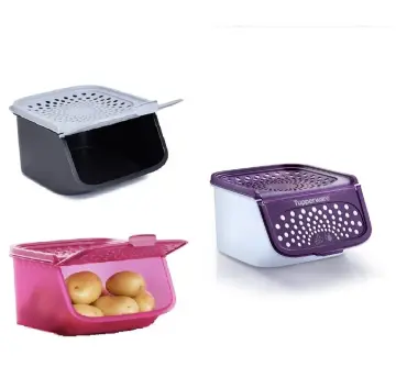 Tupperware Garlic n All Keeper 2.3litre(1pcs)- Purple