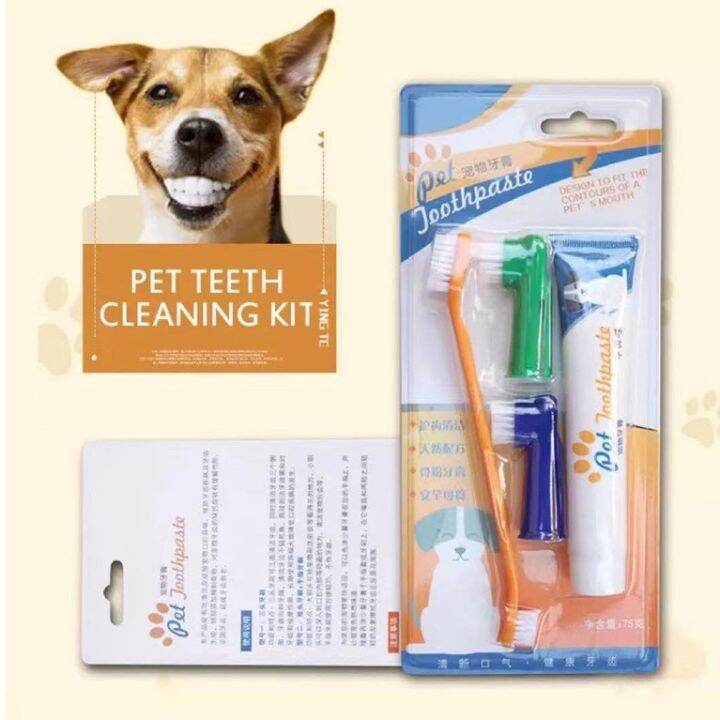 3in1 Pet Toothpaste Cat and Dog Oral Care Set Pet Toothpaste ...