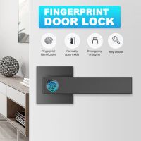 F180 Electronic Smart Lock Security Biometric Handle Lock Dual Mode USB Rechargeable Fingerprint Door Lock for Apartment Sliver/Black NEW