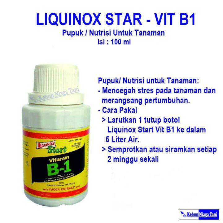 Vitamin B1 100 Ml - Liquinox Start - Vitamin B1 Tanaman - Hormon Akar ...