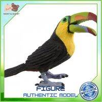 Safari Ltd. : SFR264129 โมเดลนกทูแคน Toucan ถ้วยหัดดื่ม แก้วหัดดื่ม ช้อมส้อมเด็ก ชุดจานเด็ก จานชามเด็ก ชุดถ้วยจานเด็ก ชุดจานชามเด็ก Mamy and Buddy