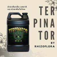 ( Pro+++ )++ Terpinator by Rhizoflora ช่วยเพิ่มกลิ่น รสชาติ และช่วยเพิ่มไตโคม ราคาดี ต้นไม้ ฟอก อากาศ กระถาง ต้นไม้ ไม้ ประดับ ต้นไม้ ปลูก ใน บ้าน