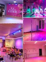 LED Track Light Color Spotlights Colorful Color Changing Rail Background Bar Clear Bar Atmosphere KTV Ceiling Dance Room 【SEP】