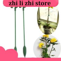 zhilizhi Store Plastic Plant Supports Flower Stand Reusable Protection Fixing Tool Gardening Supplies For Vegetable Holder Bracket