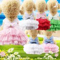 New dog clothes spring and summer striped suspender mesh