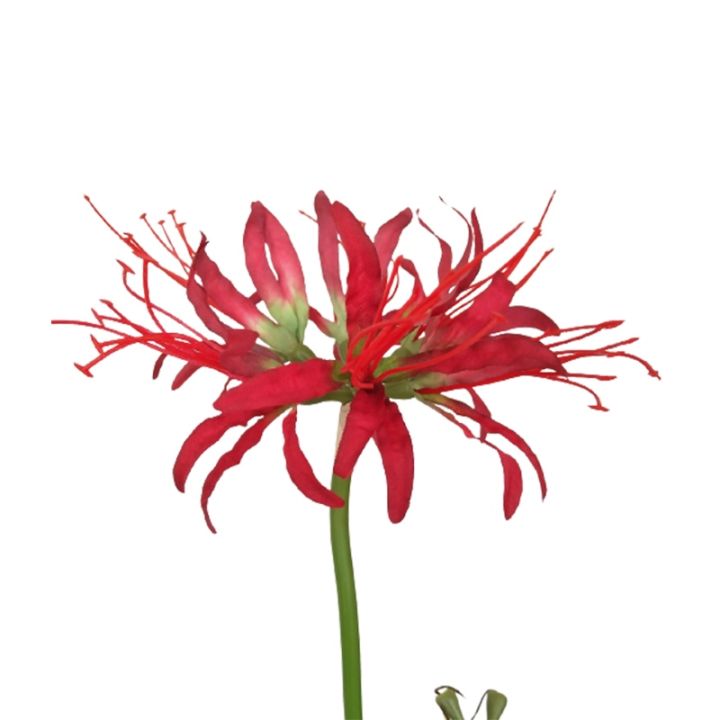 cc-60cm-1pcs-other-shore-manzhushahua-lycoris-pseudo-bouquet-artificial-dried-flowers-decoration