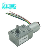 【❉HOT SALE❉】 chexiuhua มอเตอร์หนอนเข้ารหัส Jgy-370b Bringsmart มอเตอร์12V ความเร็วต่ำ4-115Rpm ปรับความเร็วกลับด้านได้เกียร์โลหะสำหรับ Diy