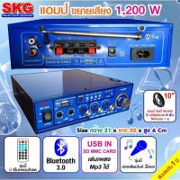 SKG เครื่องแอมป์ขยายเสียง 1,200 W รุ่น AV-224 (สีฟ้า)