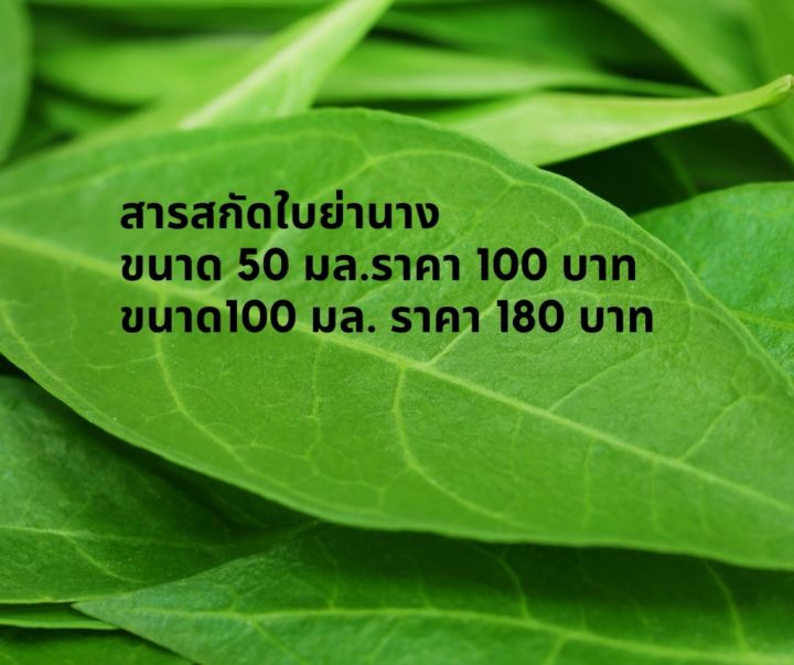 สารสกัดใบย่านาง-บรรจุ-100-มล