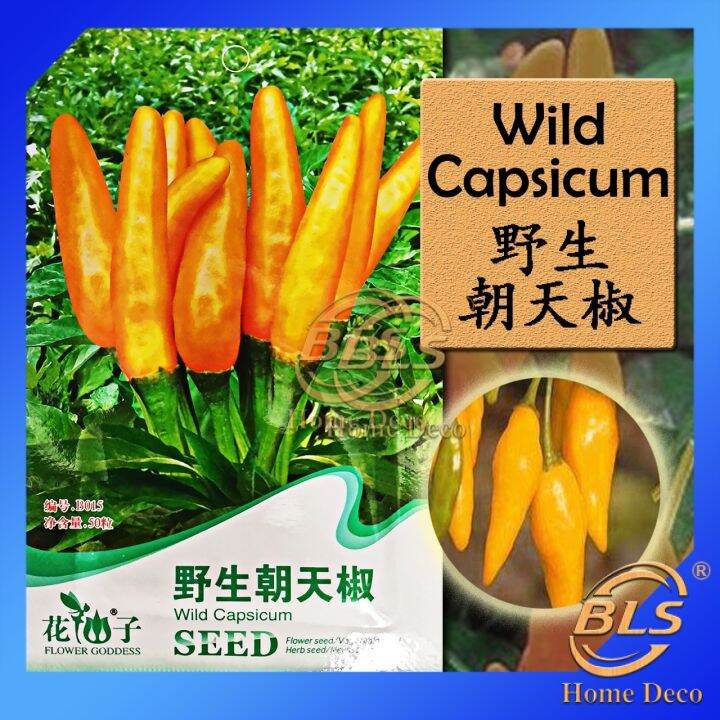 【EXPIRED】BIJI BENIH B015 WILD CAPSICUM FLOWER GODDESS VEGETABLE FLOWER