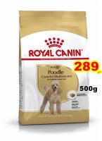 Royal canin Poodle Ault 500g. สำหรับสุนัขโต พันธุ์พุดเดิ้ล อายุ 10 เดือนขึ้นไป Exp:02/2024