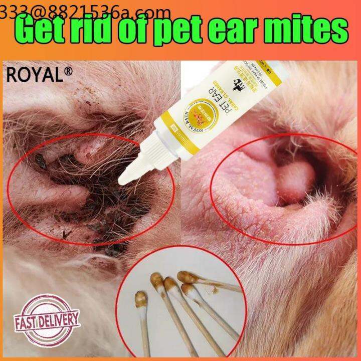 Cable safety device Anti Ear Mites Anti Fungal Antibiotic Ear Drops for