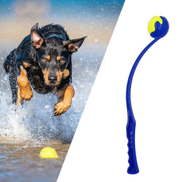 ตัวปล่อยลูกบอลสุนัขลูกบอลโจมตีด้วยอากาศด้วยลูกบอลขนาด2-8นิ้วเครื่องปล่อยลูกบอลมือถือนวัตกรรมสำหรับลูกสุนัขสุนัข-yy-ร้านค้า