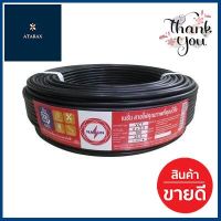 สายไฟ NATION รุ่น 60227 IEC 53 VCT ขนาด 4 x 2.5 ตร.มม. x 100 เมตร สีดำ **หมดแล้วหมดเลย**