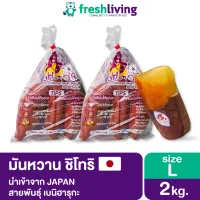 🚚 เก็บคูปองส่งฟรี 🚚 มันหวาน ญี่ปุ่น Size L ราคาพิเศษ เบนิฮารุกะ นำเข้า จากประเทศญี่ปุ่น Freshliving ชิโทริ Shitori เยลลี่ ผลไม้ ขนม ขนมกินเล่น