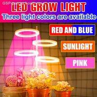 ✓ โคมไฟ Grow แบบเต็ม5V หลอดไฟไฮโดรโปนิก USB Led ในร่ม1 2 3 4หัว