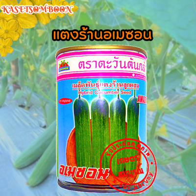 แตงร้านอเมซอน เมล็ดพันธุ์ 100 ก. ตรา ตะวันต้นกล้า