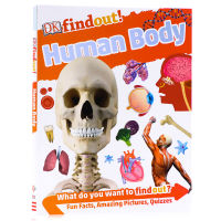DK human body illustrated childrens Encyclopedia DK findout! Human body English original book DK childrens Science Encyclopedia series childrens English popular science books full color graphic guide