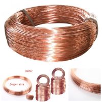 T2 Copper Red Coppers Line Bare Wire 99.90 Length 1 meter Diameter 0.5/0.8/1/1.5/2/2.5/3mm Copper line