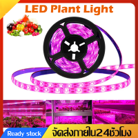 ไฟปลุกต้นไม้Full Spectrum LED Grow Lightไฟเส้นช่วยต้นไม้ตัวเร็ว หลอดไฟปลูกต้นไม้ LEDโคมไฟปลูกพืช ไฟปลูกสมุนไพรในบ้านJ53