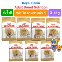 Royal Canin Chihuahua Pomeranian Beagle French Bulldog Shiba Pug Jack Russell 3kg 4kg โรยัลคานิน สุนัขโต ชิวาว่า ปอม บีเกิ้ล เฟรนช์บูล ชิบะ ปั๊ก แจ็ครัสเซล3-4 กิโลกรัม