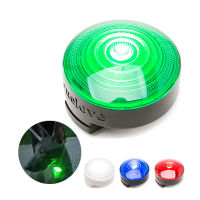 Truelove Safety Flashing Dog Led Light Dog Accessories LED Glowing Pendant Outdoor Night for Collar Harness Products