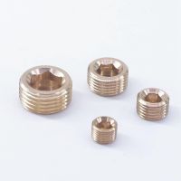 1/16 quot; 1/8 quot; 1/4 quot; 3/8 quot; 1/2 quot; 3/4 quot; 1 quot; BSPP BSPT NPT Male Brass Pipe Countersunk Plug Socket Hex Head End Cap