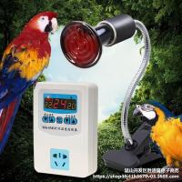 Pet Temperature Control Heating Lamp Ceramic Hamster Parrot Cat Hedgehog Warming Lamp Warming Bulb