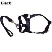 Pet Muzzle Strap Adjustable Nylon Leash Dog Mouth Cover Anti-bark Pet Mouth Muzzle Small Large Puppy Dog Stop Biting Chewing