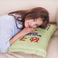 [COD] simulation grain cement sand cushion rice flour lunch break plush gift for boyfriend