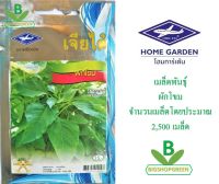 เมล็ดพันธุ์ ผักโขม ตราเจียไต๋ เมล็ดพันธุ์ เมล้ดพันธุ์ผัก เมล็ดผัก