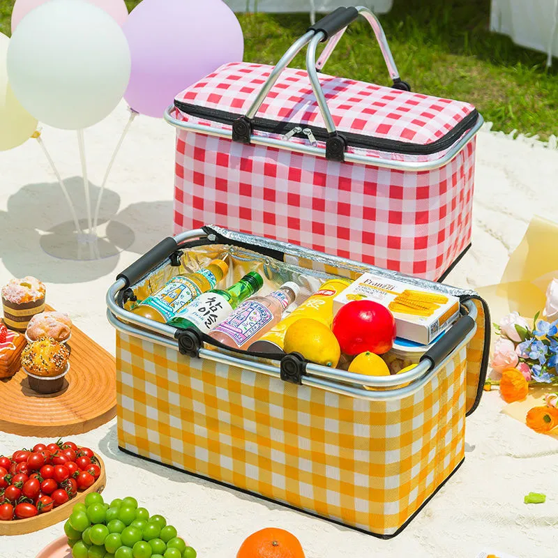 Aggregate 159+ family picnic bag super hot esthdonghoadian