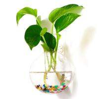 ติดผนังใหม่ถังชามแขวนTerrarium Hydroponicแจกันห้องนั่งเล่นตกแต่งผนัง S4Z1