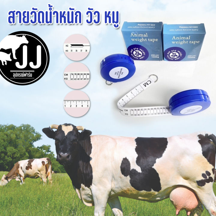 สายวัดน้ำหนักวัว-สายวัดน้ำหนักหมู-ส่งด่วนจากไทย
