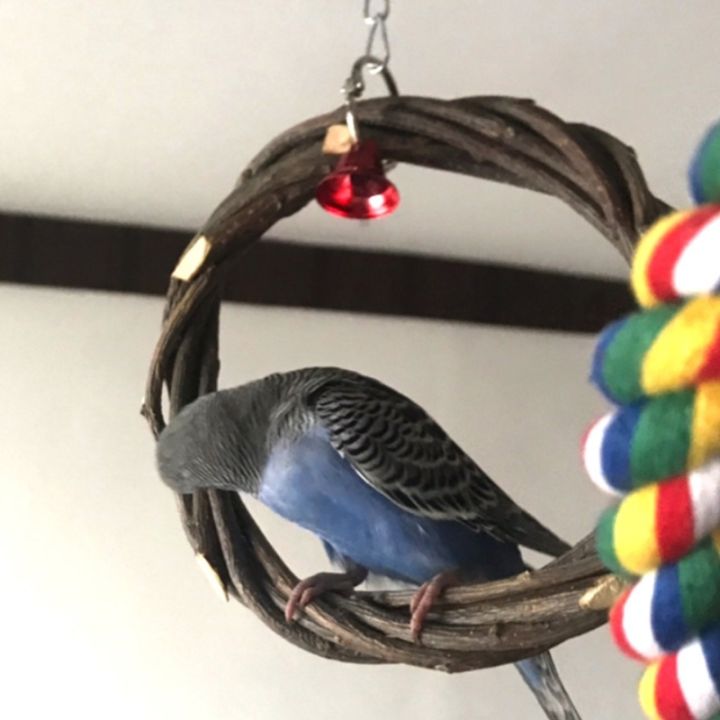 rattan-hoop-bird-toy-hanging-cage-climb-swing-chew-bite-ring-bell-toy-birds-parrot-toy-macaw-standing-perches-apple-branch-braid