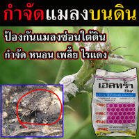 ?ของแท้ ส่งในไทย สารกำจัดแมลงบนดิน _ ใต้ดิน (เม็ดทรายสีชมพู) สูตรดูดซึมเร็ว  กำจัดแมลงบนดิน_ใต้ดิน ยากำจัดแมลงพืช_ทุกชนิด ยากำจัดเพลี้ยอ่อน  ยากำจัดเพลี้ยทุกชนิด  ยากำจัดแมลงปีกแข็ง ยากำจัดเพลี้ยจักจั่น  สารกำจัดแมลง_ในดินต่างๆ # ใช้หว่าน หรือ รองก้นหลุม